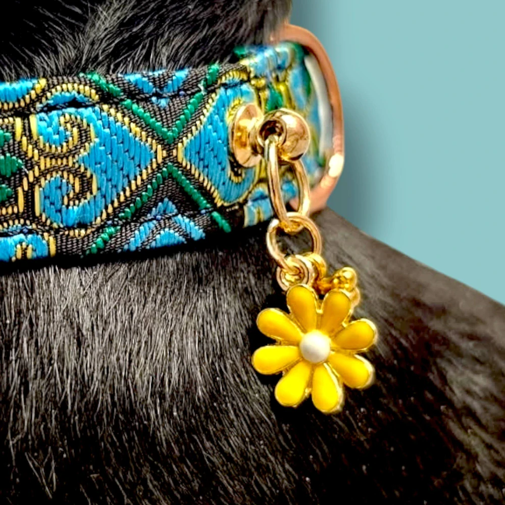 Žakárový skvost "Azure Flower" – obojek pro malé pejsky