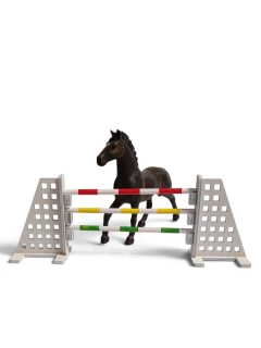 Skoková překážka - parkur🏇
